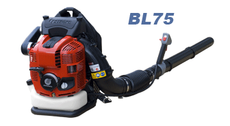 BL75